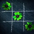 안동서부초등학교 이미지