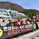 자연2 태양광발전소 이미지