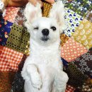 은비약국 이미지