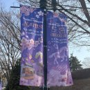 고릴라버거 앤 컵밥 | 서울 렛츠런파크 벚꽃축제 주차 푸드트럭 먹거리