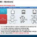 에스보디가드