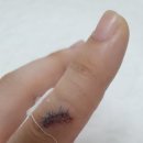 열목어마을 | 四字成語 총정리 <ㅂ> 393 봉합용접~봉화봉서루