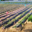 성포역부동산공인중개사사무소 이미지