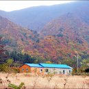 감동이 있는 한폭의 수채화, 만추의 나리분지/ 울릉도 가을여행 이미지