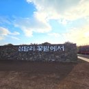 성산 동백소랑 이미지