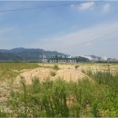 북삼읍사무소 이미지