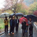 금일초등학교 이미지