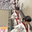 경희대우리들의태권도장(2층) | [독산동 경희대 참 태권도] 노력은 배신하지 않는다
