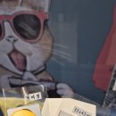 [광주] 여권사진&amp;증명사진 빠르게 잘찍는 <수도사진관> 내돈내산 후기
