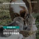 더블유동물의료센터 이미지