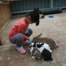 숲속 동키마을 캠핑장 이미지