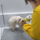 개포동월드 이미지