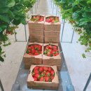 농협기업도시점 이미지