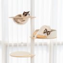 오로라 캣 이미지