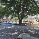 코끼리 관광농원 이미지