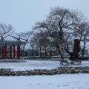 숲속의 빈터 이미지