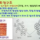 3편 - 토성과 토양의 입단화 이미지