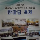 늘푸른체육관 Daum카페