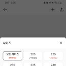 레드볼트