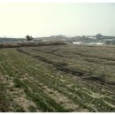 익수농장 이미지