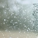수니아트 이미지