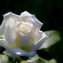 현대장식 이미지