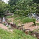 수내닭꼬치 김포운양점