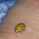 선돌민박 이미지