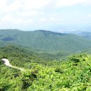 산수유자연휴양림 이미지