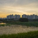 홍성군, 명품녹색도시 조성 ‘박차’ 이미지
