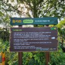 산포홍련마을 이미지