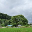 사창6리 이미지