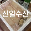 신일회수산 | 대천 수산시장 l 신일수산 32호 거품 없는 회포장 대천 꽃게 이경규님 맛집 내돈내산 후기