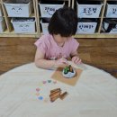 해충 기피제를 만들어 보았어요 이미지