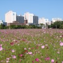 전북대 익산캠퍼스 이미지