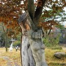 너른마당 이미지