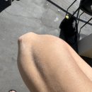 하나비하우스 | 어른이다 (본다이비치 아이스버그, 시드니 오페라하우스 야경, 달링 하버 불꽃놀이, 시드니 골프 왕 티...