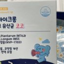 바이코몰