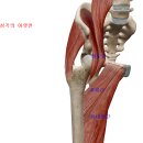 화목한의원 이미지