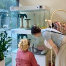 키튼히얼 고양이분양 김포본점 이미지