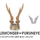 푸른아이웨어중앙점 이미지