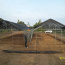 그린하우스 이미지