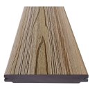 대구논공초등학교 이미지