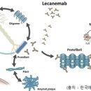 한국에자이(주) 이미지