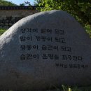 지보사