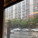 솜리뼈다귀탕(영등점) 이미지