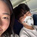 씨유(CU) 평택가내마을점 | 알마티에 가다 - 알마티 이스타 직항 &amp; 빅알마티 호수