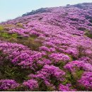 영취산 티스토리