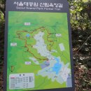 서울대공원 산림욕장길 이미지
