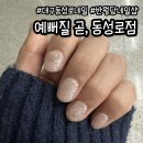 피츠네일 | 대구 동성로 교동 반월당 네일 추천 예뻐질곧 동성로점 이달의 네일 후기